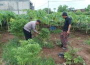 Polisi Cinta Petani, Bhabinkamtibmas Cek Lahan Warga untuk Dukung Program Ketahanan Pangan
