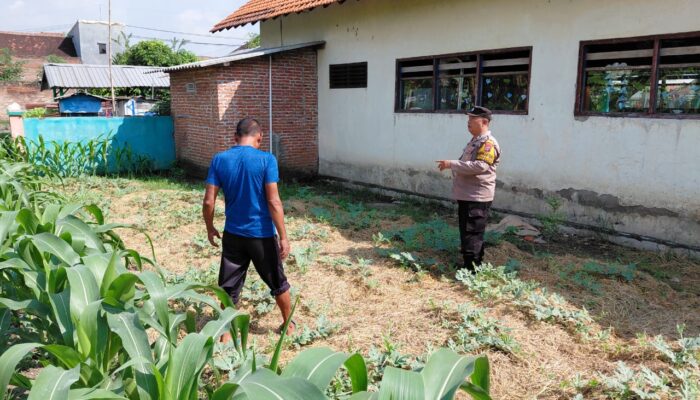 Bhabinkamtibmas Pangkemiri Dampingi Petani Semangka, Dukung Ketahanan Pangan Lokal