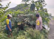 Polisi Cinta Petani, Polsek Tulangan Dukung Inovasi Ketahanan Pangan di Desa Jiken