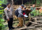 Menjelang Idul Adha, Tiga Pilar di Tulangan Sidoarjo Tinjau Kesehatan Hewan Kurban Perkuat Ketahanan Pangan