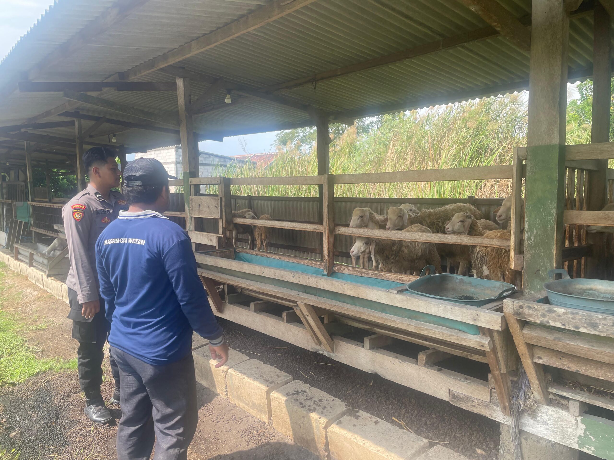 Bhabinkamtibmas Sambangi Peternak Kambing, Dukung Ketahanan Pangan Polresta Sidoarjo