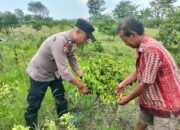 Polisi Cinta Petani Dukung Ketahanan Pangan, Edukasi Tanaman Hortikultura Warga Sambibulu