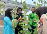 Bangkitkan Semangat Ketahanan Pangan ke Anggota, Polresta Sidoarjo Optimalkan Lahan P2L