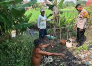 Polsek Jabon Cek Progres Program Ketahanan Pangan Bergizi di Desa Semambung