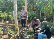 Peduli Ketahanan Pangan, Bhabinkamtibmas Kepuhkiriman Bareng Petani Pantau Tanaman Cabai