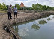 Polsek Wonoayu Cek Progres Program Ketahanan Pangan Bergizi di Desa Simoketawang