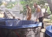 Polresta Sidoarjo Dorong Ketahanan Pangan Melalui Budidaya Ikan Patin dan Sayuran di Lahan Warga