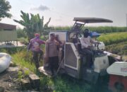 Polisi Cinta Petani Desa Jiken Apresiasi Lahan Sawah Padi Wujudkan Ketahanan Pangan