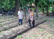 Bhabinkamtibmas Tanggulangin Tinjau Lahan Ketahanan Pangan Bergizi di Desa Randegan