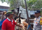 Dukung Ketahanan Pangan, Bhabinkamtibmas Kalidawir Tinjau Lahan Peternakan Warga