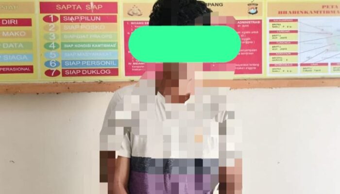 Diduga Coba Perkosa Adik Ipar, Pria di Kalumpang Ditangkap Polisi