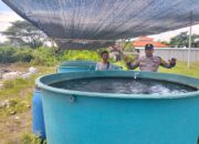 Polisi Cinta Petani, Bripka Djohan Dorong Budidaya Lele untuk Ketahanan Pangan di Ketapang