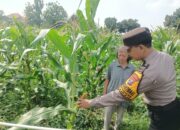 Warga Sepanjang Dukung Ketahanan Pangan Polresta Sidoarjo, Polisi Beri Apresiasi dan Edukasi