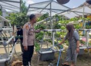 Swadaya Mandiri Warga Mutiara Citra Asri Kembangkan Kebun Hidroponik, Polisi Beri Apresiasi