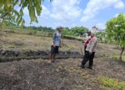 Bhabinkamtibmas Simoketawang Polsek Wonoayu Tinjau Ketahanan Pangan, Dukung Program Asta Cita Presiden Prabowo