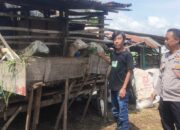 Dukung Ketahanan Pangan, Polsek Tanggulangin Kunjungi Peternakan Kambing Warga