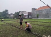 Dukung Swasembada Pangan, Bhabinkamtibmas Desa Jiken Tinjau Lahan Sayur Warga