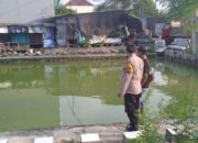 Bhabinkamtibmas Desa Tropodo Polsek Waru Tinjau Pekarangan Pangan Bergizi Perikanan