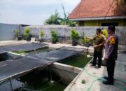 Polsek Tulangan Bersama Warga Desa Singopadu Tingkatkan Ketahanan Pangan Lewat Budidaya Lele