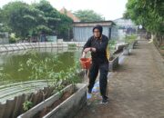 Polsek Krian Tinjau Program P2L di Desa Ponokawan, Dukung Ketahanan Pangan Lokal