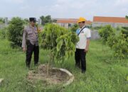 Pemanfaatan Lahan Kosong di Desa Sidodadi Dukung Ketahanan Pangan Nasional