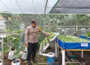 Cek Tanaman Hidroponik, Bhabinkamtibmas Desa Bangah Dukung Swasembada Pangan