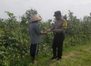 Polisi Cinta Petani, Bhabinkamtibmas Kedungboto Dampingi Petani Wujudkan Ketahanan Pangan