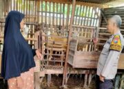Dukung Ketahanan Pangan Nasional, Bhabinkamtibmas Kemantren Tinjau Lahan Ternak