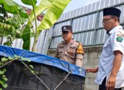 Bripka Agung Dukung Ketahanan Pangan Lewat Budidaya Lele di Desa Wedoro