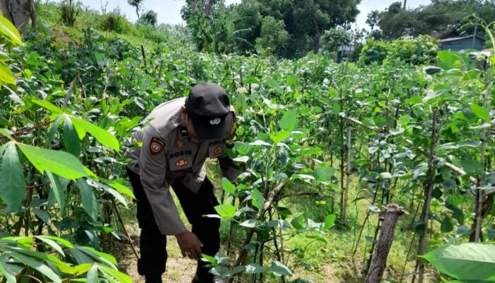 Bhabinkamtibmas Desa Dukuh Sari Cek Lahan Warga, Dorong Kemandirian Pangan dari Pekarangan