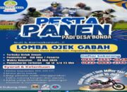Lomba Ojek Gabah Siap Meriahkan Pesta Panen Padi di Desa Bonda Mamuju
