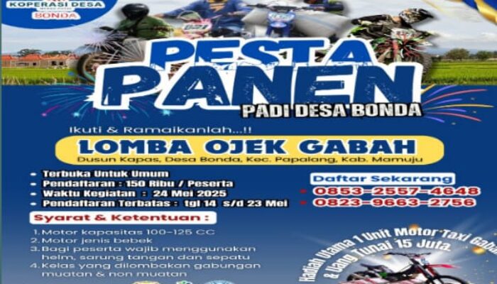 Lomba Ojek Gabah Siap Meriahkan Pesta Panen Padi di Desa Bonda Mamuju