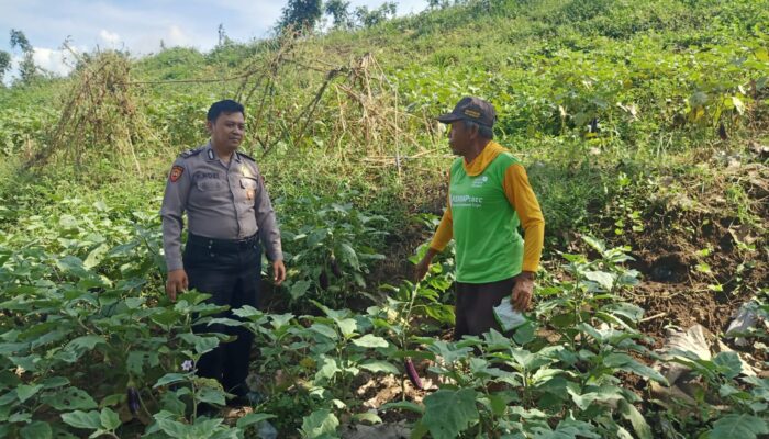 Bhabinkamtibmas Desa Permisan Tinjau Lahan Warga, Wujud Nyata Dukung Ketahanan Pangan