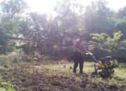 Bhabinkamtibmas Desa Kepatihan Tinjau Lahan Ketahanan Pangan di Kecamatan Tulangan