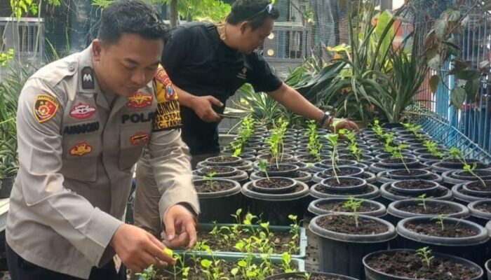 Kapolsek Tanggulangin Maksimalkan Peran Bhabinkamtibmas, Sambangi Desa Gagang Panjang untuk Dukung Ketahanan Pangan Nasional