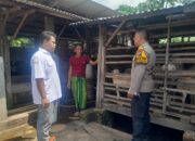Polsek Wonoayu Tinjau Progres Program Ketahanan Pangan Polresta Sidoarjo di Desa Wonokalang
