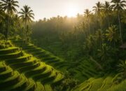 Wisata Cerdas: Liburan Asyik Tanpa Merusak Alam