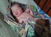 Bayi Cantik Ditemukan di Warung Angkringan Karangdadap, Pekalongan : Polisi Selidiki Identitas Orang Tua