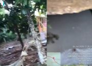 Sumur Minyak Ilegal Cemari Lingkungan, Warga Desa Kali Berau Resah