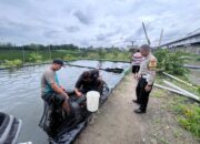 Polsek Wonoayu Salut Perkembangan Program Ketahanan Pangan pada Budidaya Ikan Mujair di Jimbaran Wetan