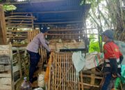 Bhabinkamtibmas Kupang Tinjau Lahan Pekarangan untuk Program Ketahanan Pangan dan Ternak Warga