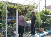 Bhabinkamtibmas Sambangi Warga Penggerak Ketahanan Pangan di Wilayah Kecamatan Sedati