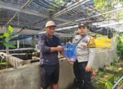 Warga Desa Ketajen Dukung Ketahanan Pangan Lewat Budidaya Ikan Nila, Bhabinkamtibmas Beri Motivasi