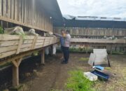 Bhabinkamtibmas Desa Grogol Tinjau Lahan Pekarangan untuk Dukung Ketahanan Pangan dan Peternakan Warga