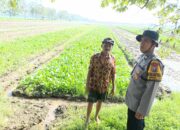 Bhabinkamtibmas Desa Jeruklegi Edukasi Warga Kelola Lahan Lebih Produktif untuk Dukung Ketahanan Pangan