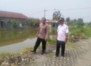 Kolaborasi Polisi dan Warga, Tingkatkan Ketahanan Pangan Melalui Budidaya Ikan Nila