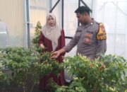 Warga Desa Jati Manfaatkan Lahan Kosong untuk Green House, Polisi Beri Motivasi Ketahanan Pangan