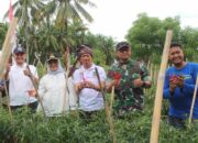 Kodim 1418/Mamuju Pastikan Program Makan Bergizi Gratis Tepat Sasaran Hingga Pelosok