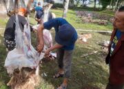 RSU PKU Muhammadiyah dan Lazismu di Yogya Salurkan 13 Lembu dan 30 Kambing