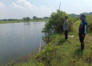 Bhabinkamtibmas Glagaharum Wujudkan Ketahanan Pangan Lewat Budidaya Ikan Nila